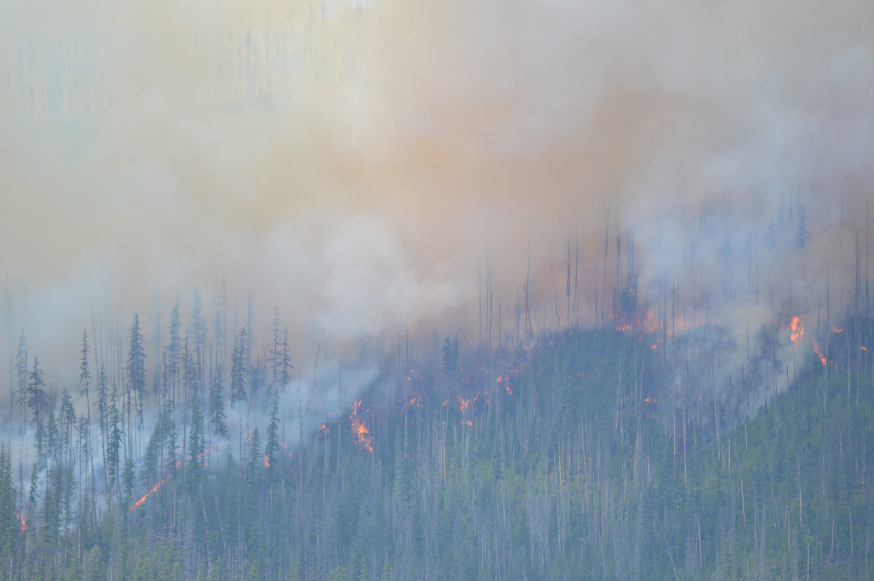 Howe Ridge fire